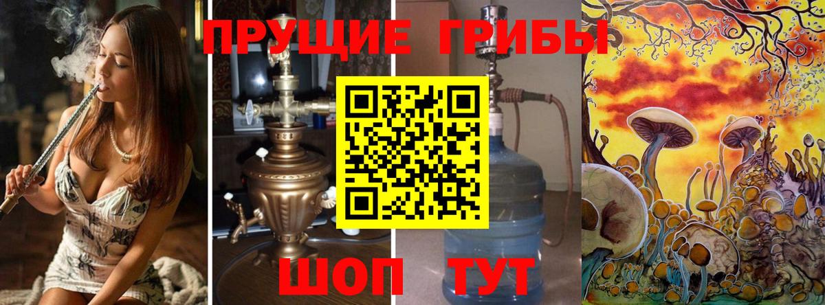 Псилоцибиновые грибы мицелий  Вход с VPN  Сосновоборск 