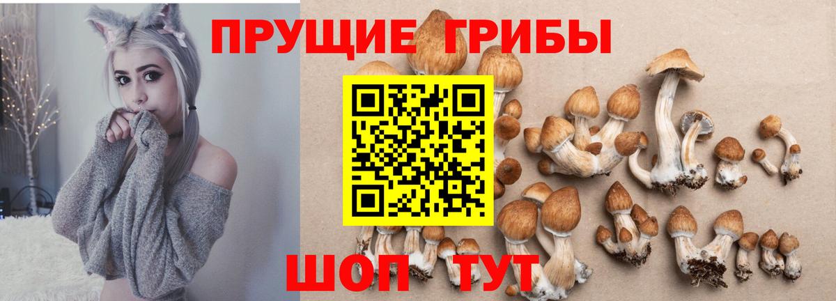 Псилоцибиновые грибы Magic Shrooms Сосновоборск